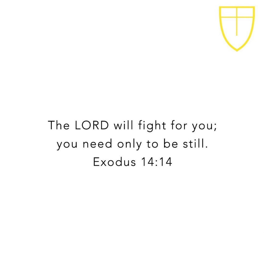 The LORD Will Fight for You - 2019 June - Exodus 14:14
