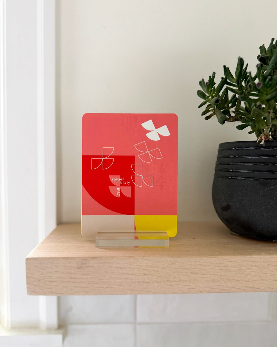 Dwell Differently Book Bundle